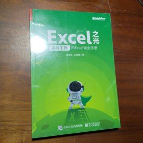 Excel之光：高效工作的Excel完全手册