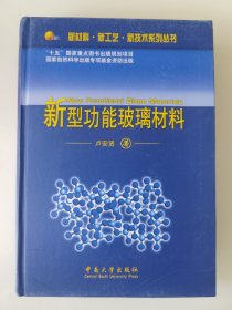 新材料·新工艺·新技术系列丛书：新型功能玻璃材料（精装）