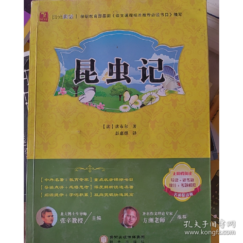 阳光阅读-昆虫记9787552517224阳光出版社