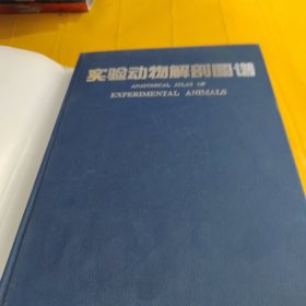 實驗動物解剖圖譜