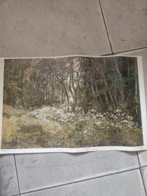 林边花草，编号84。印刷53/33