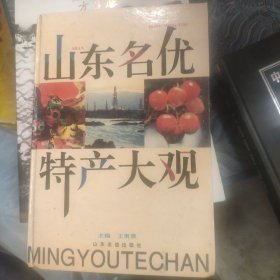 山东名优特产大观