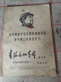 青海文化革命  第19期