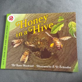 Honey in a Hive (Let's Read and Find Out) 自然科学启蒙2：蜂房里的蜜蜂