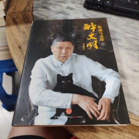 收藏马未都1：醉文明