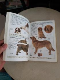 名犬：全世界300多种名犬的彩色图鉴