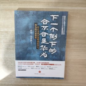 下一个倒下的会不会是华为：任正非的企业管理哲学与华为的兴衰逻辑【全新未拆封】