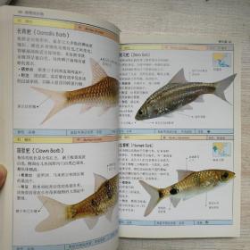 观赏鱼：全世界500多种观赏鱼的彩色图鉴