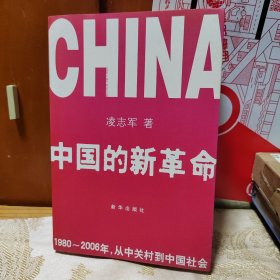 中国的新革命：1980-2006年，从中关村到中国社会