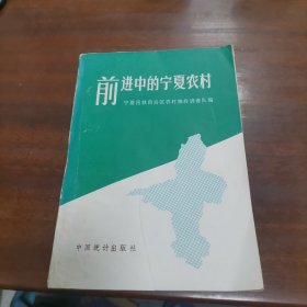 前进中的宁夏农村