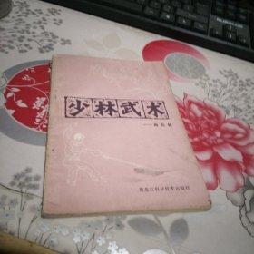 少林武术一梅花枪