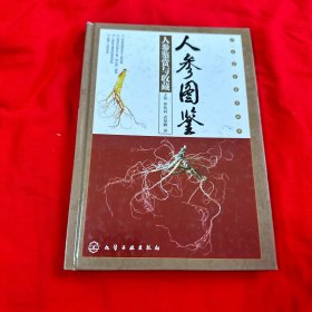 人参图鉴  彩色铜版纸印刷精装本！2011年一版一印！近十品全新！