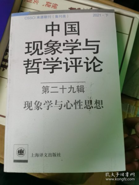 中国现象学与哲学评论：第二十九辑