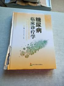 糖尿病临床诊疗学