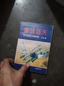 鏖战蓝天:世界空战王牌列传