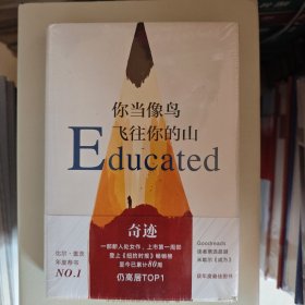 你当像鸟飞往你的山