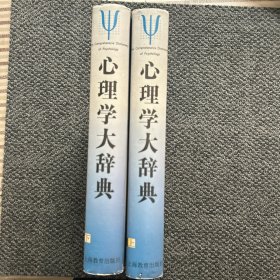 心理学大辞典（上下）