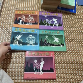 王先生与小陈 (全五册）