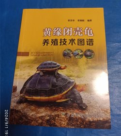 黄缘闭壳龟养殖技术图谱