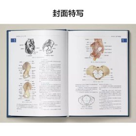 【全新正版，现货速发】实用助产学(精)编者:丁焱//李笑天9787117263139人民卫生