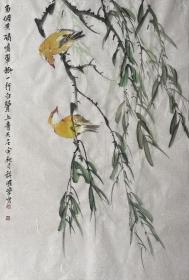 许国营老师精品写意花鸟画-五