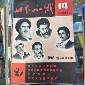 世界知识杂志27册（1980～1988）