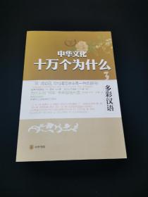 中华文化十万个为什么：多彩汉语【库存书。有插图。】