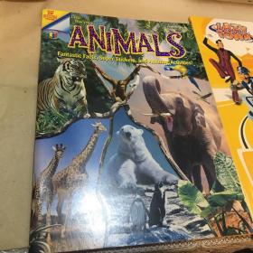 动物运动英文原版童书