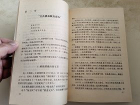 长江作证 新四军抗战纪实/ 大破袭 百团大战纪实