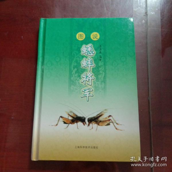 图说蟋蟀将军