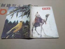 新观察（1956年第23期，一九五六年第二十三期）