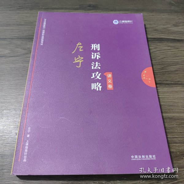 司法考试2019 上律指南针 2019国家统一法律职业资格考试：左宁刑诉法攻略·讲义卷