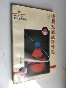 中觀發(fā)展戰(zhàn)略導(dǎo)論