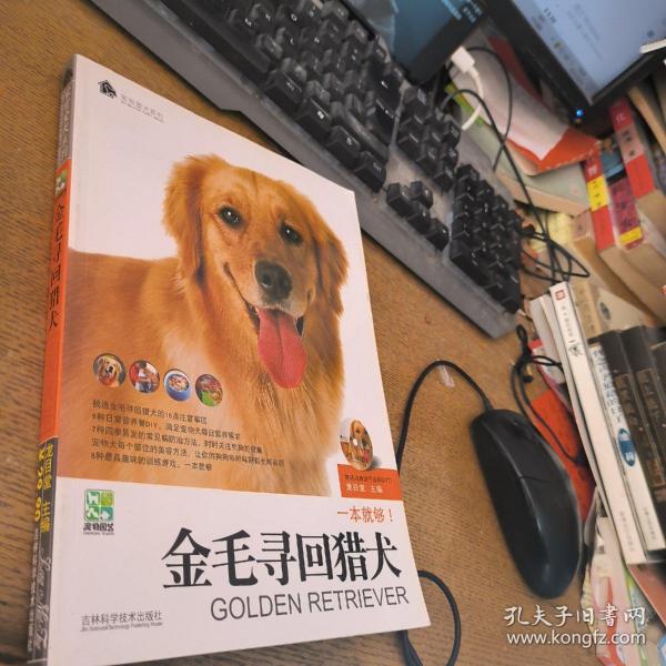 金毛寻回猎犬