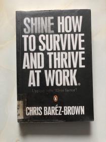 Shine How to Survive and Thrive at Work