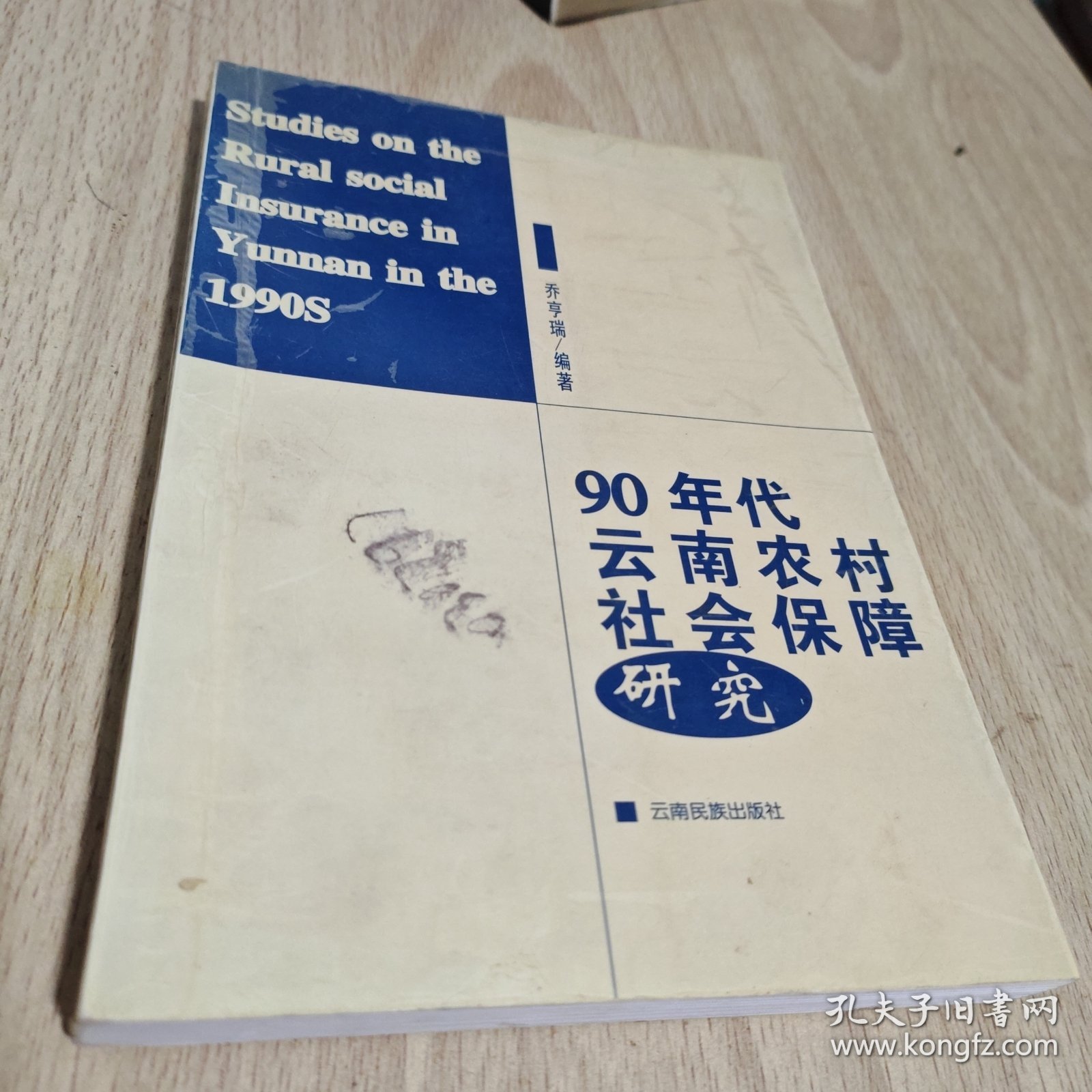 90年代云南农村社会保障研究