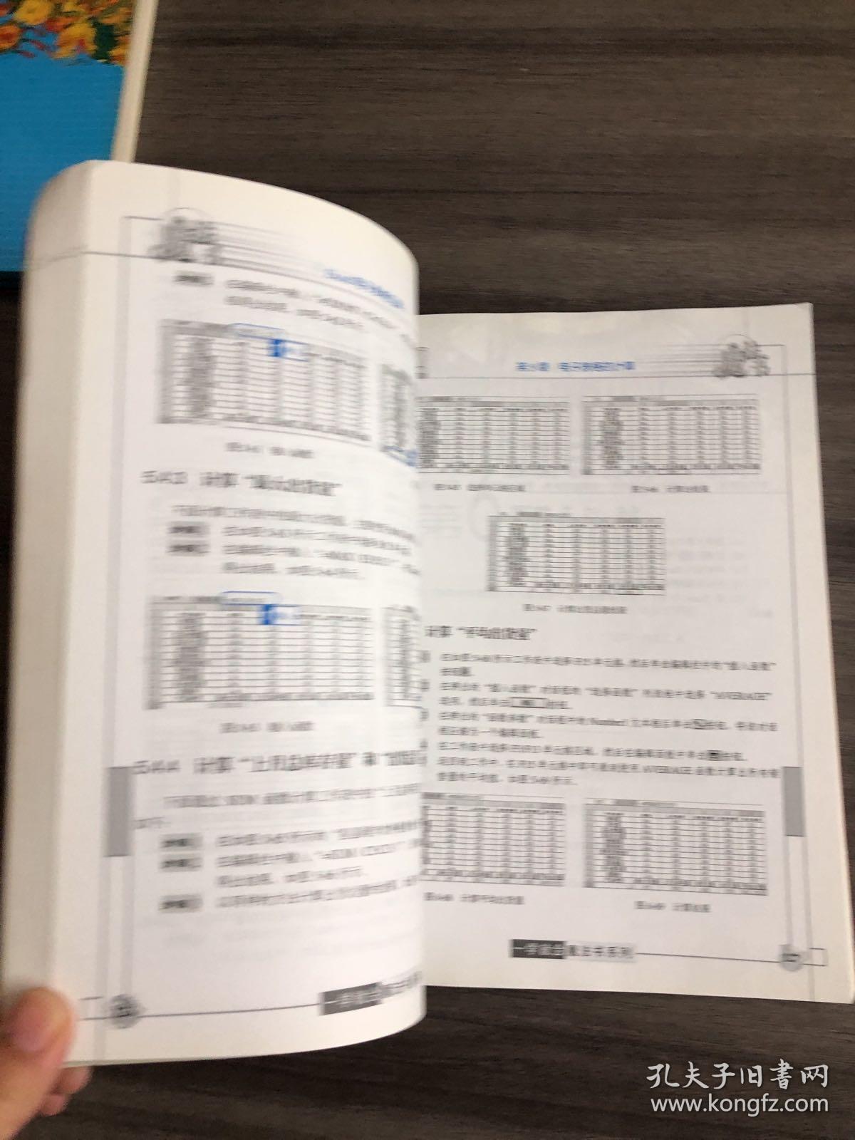 一学就会魔法书：Excel电子表格应用（双色印刷）