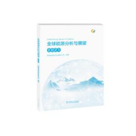 全球能源分析与展望 2021