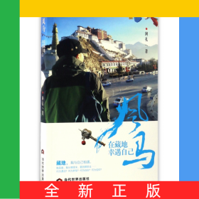 风马(在藏地幸遇自己)