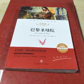 巴黎圣母院经典文学名著金库（名师精评思维导图版）