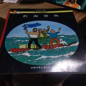 红海鲨鱼