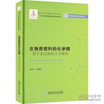 生物质燃料的化学？：基于多过程热力学模型（2020新能源基金）