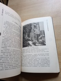 杨虎城大传