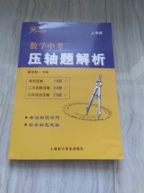 数学中考压轴题解析