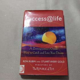 success at life how to catch and live your dream