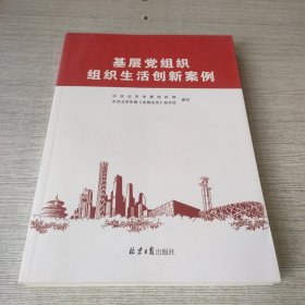 基层党组织组织生活创新案例