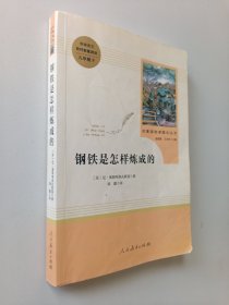 统编语文教材配套阅读 八年级下：钢铁是怎样炼成的/名著阅读课程化丛书