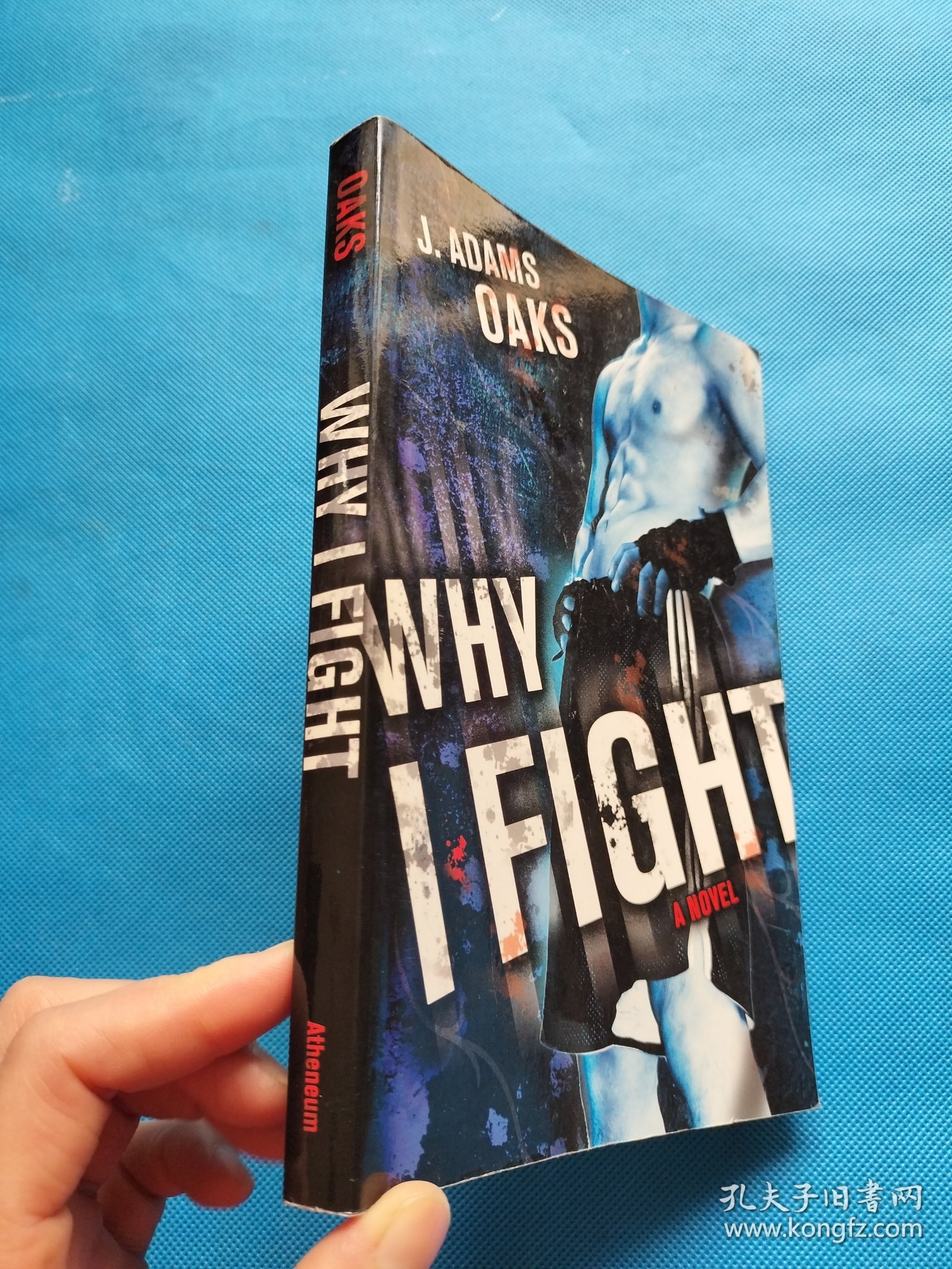 Why I Fight