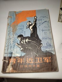 青年近卫军（第二部）