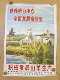 以养猪为中心全面发展畜牧业 积极发展山羊生产 60年代四开宣传画